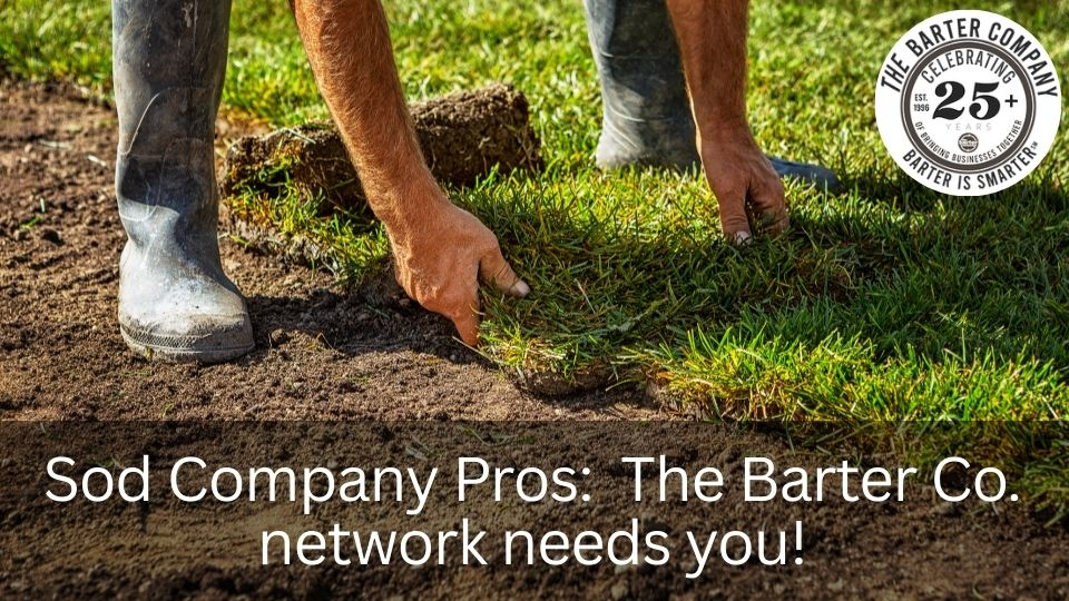 Grass Sod Services Banner